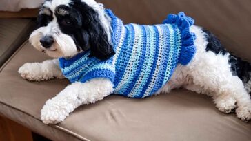 Dog Sweaters