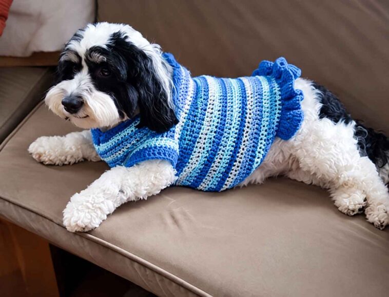 Dog Sweaters