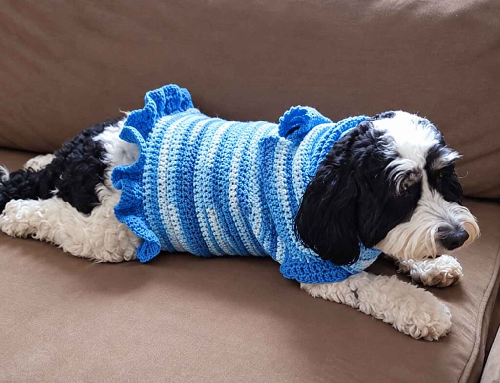Dog Sweaters