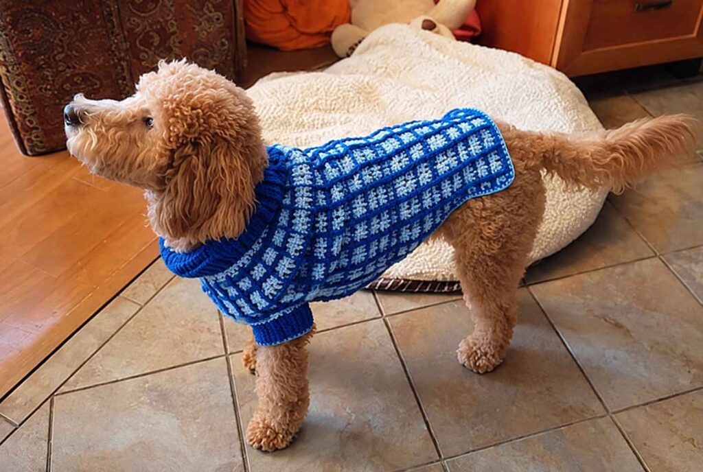 Dog Sweaters