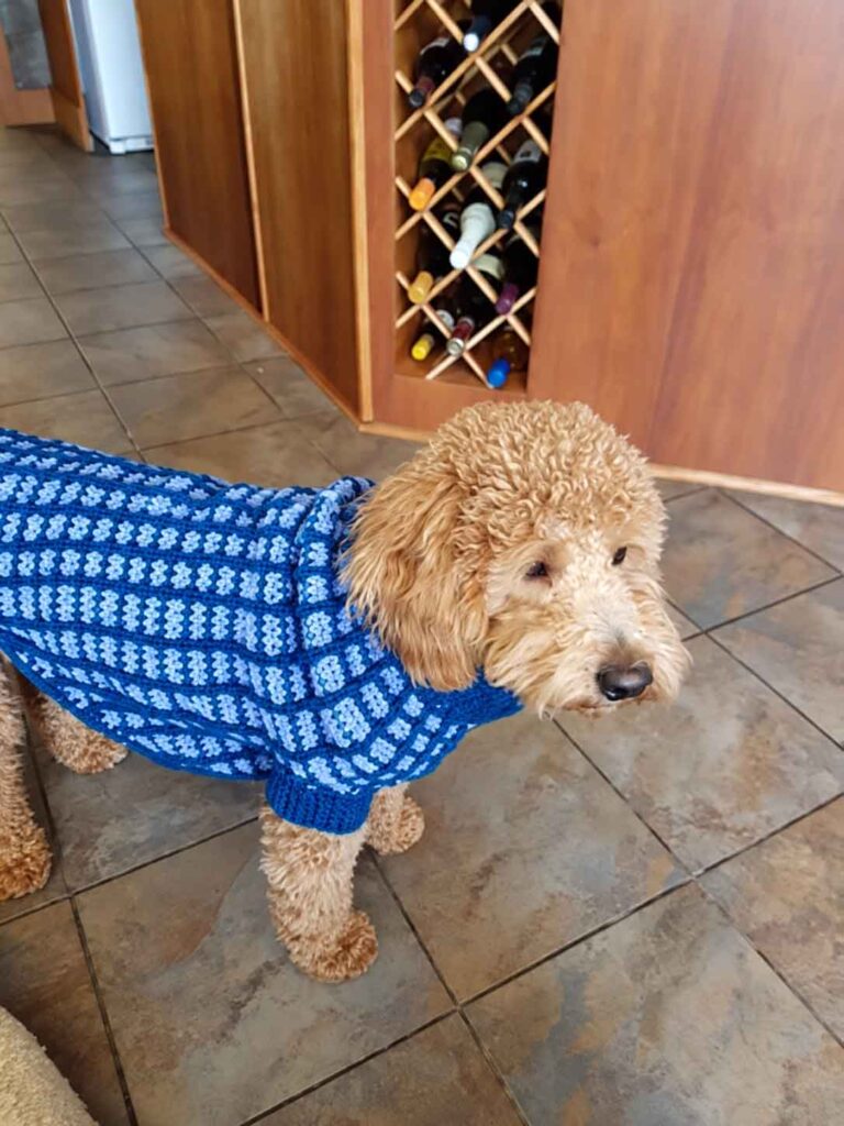 Dog Sweaters