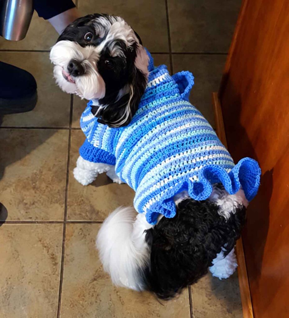 Dog Sweaters